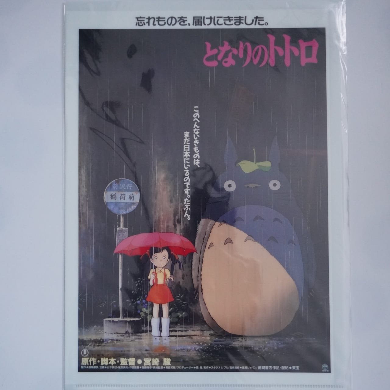 Studio Ghiblis Totoro A4 Clearfile / Poster