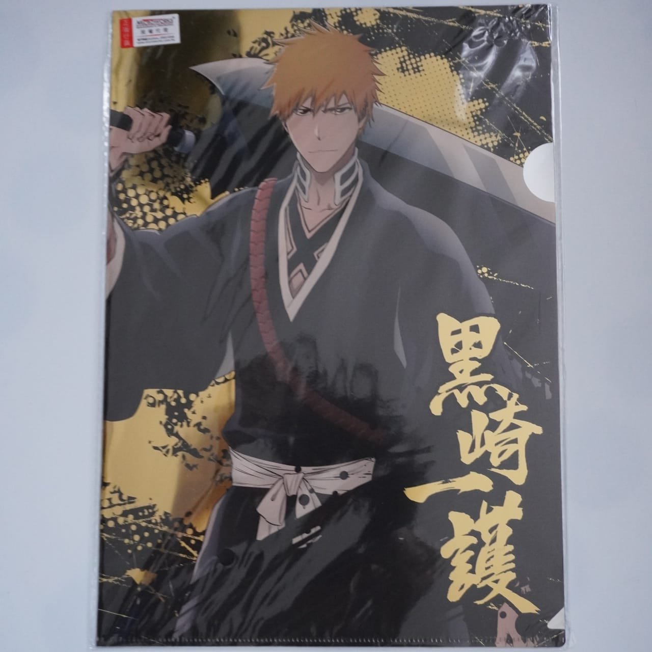 Bleach Ichigo A4 Clearfile / Poster