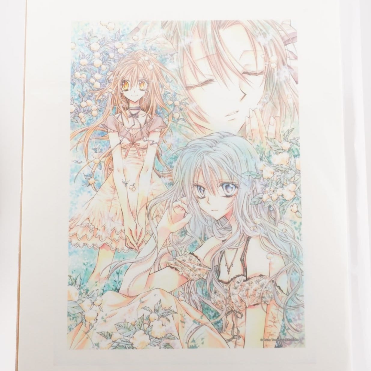 Arina Tanemura 20th Anniversary Exhibition Frame Art Print