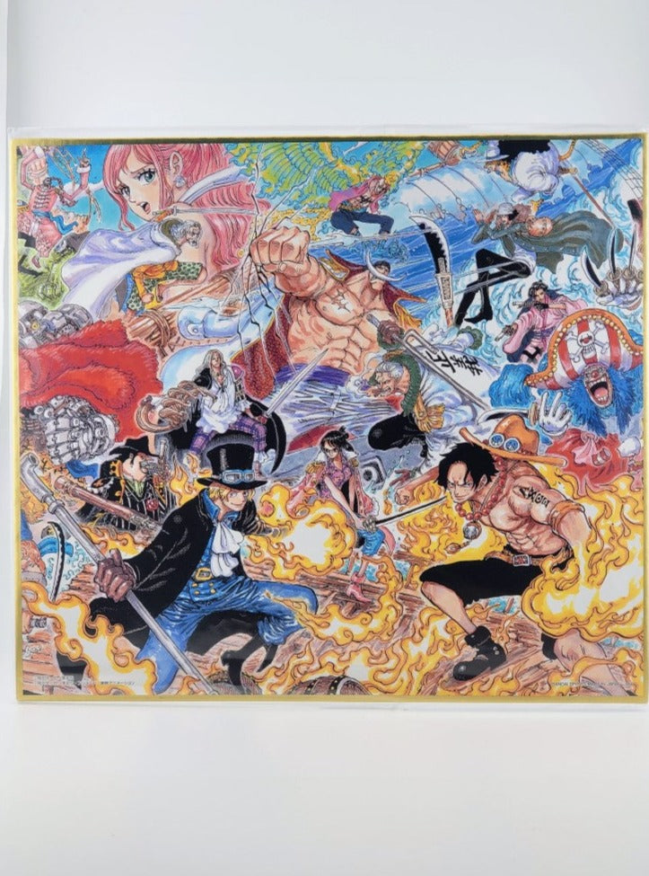 One Piece sehr großes Shikishi